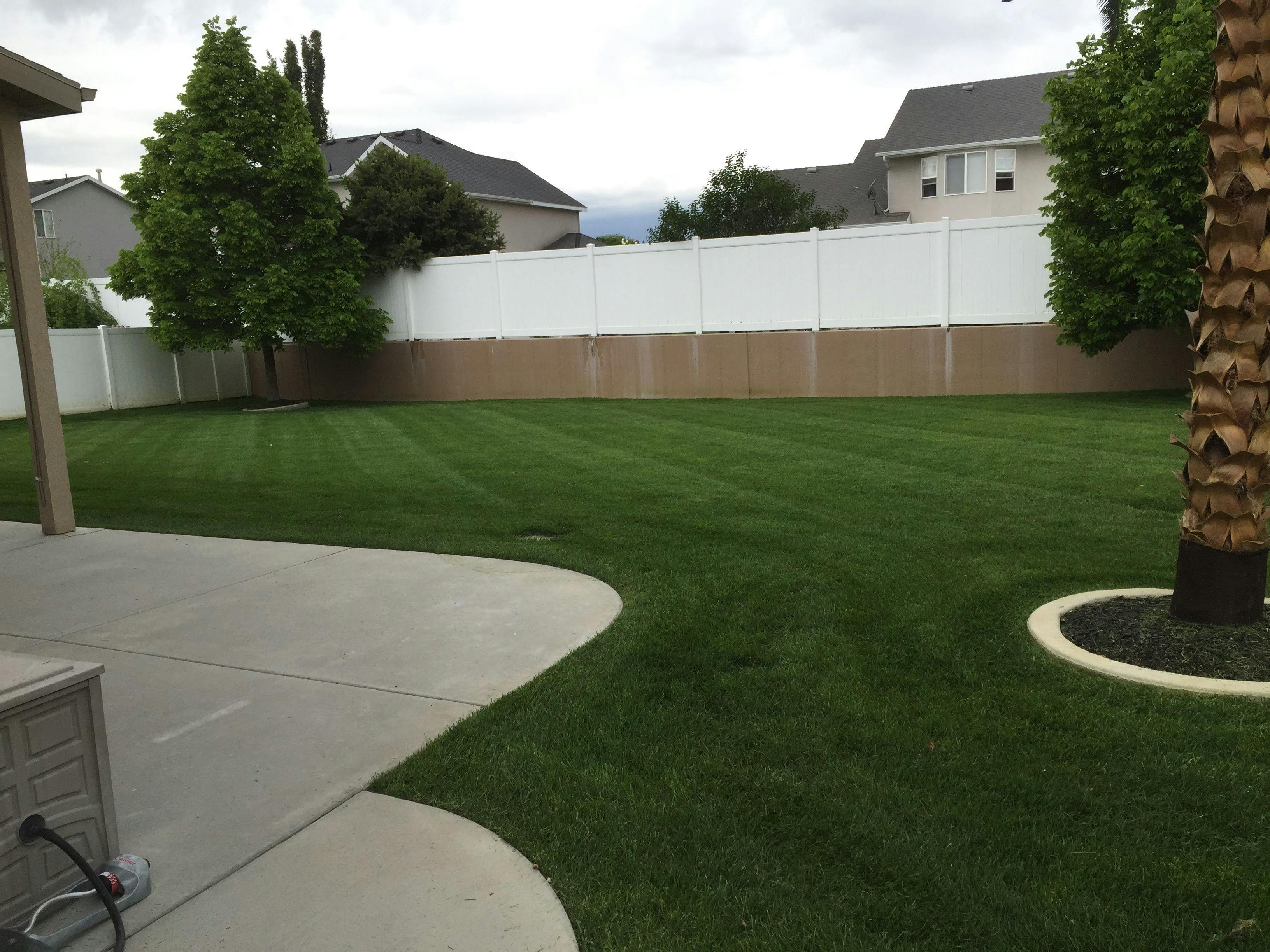 Backyard of a residential property with primary focus on the deep green color of their large lawn.
